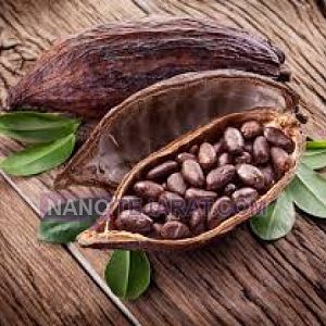 فروش اسانس خوراکی بلوبری و توت فرنگی وموز وپرتقال,طعم دهنده طبیعی بلوبری واسانس لی فروش اسانس خوراکی بلوبری و توت فرنگی وموز وپرتقال,طعم دهنده طبیعی بلوبری واسانس لی